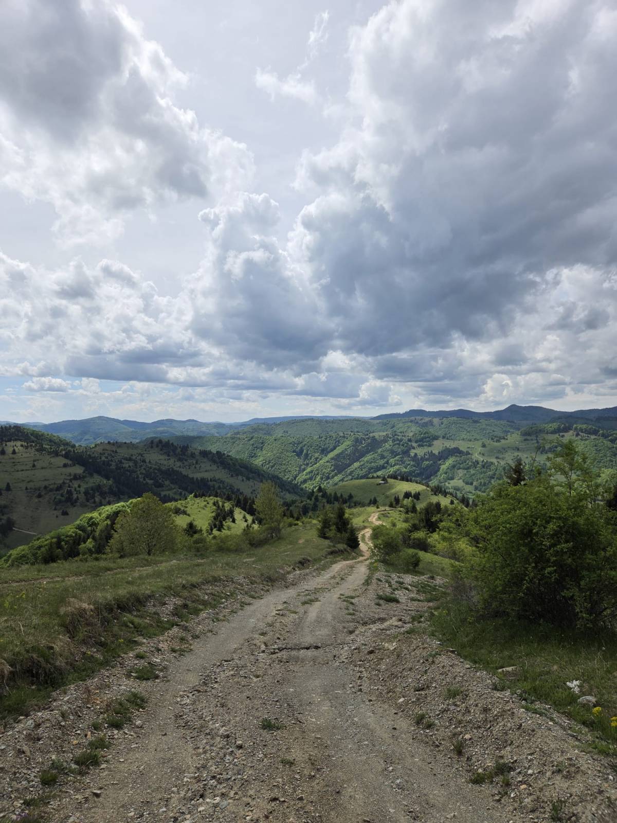 Bucătăria de vară